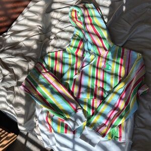 Champion Multicolor Striped Hoodie